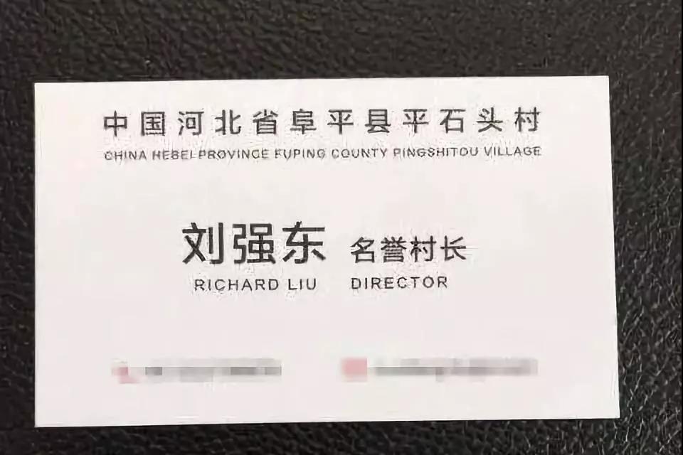 2017年11月28日，劉強東受聘為河北阜平縣平石頭村“名譽村長”。