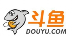 知識產(chǎn)權讓斗魚闖世界更有底氣，國際專利申請位居全國前列