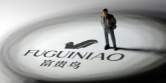 2.27億！富貴鳥商標+專利打八折二次拍賣，誰來接盤？