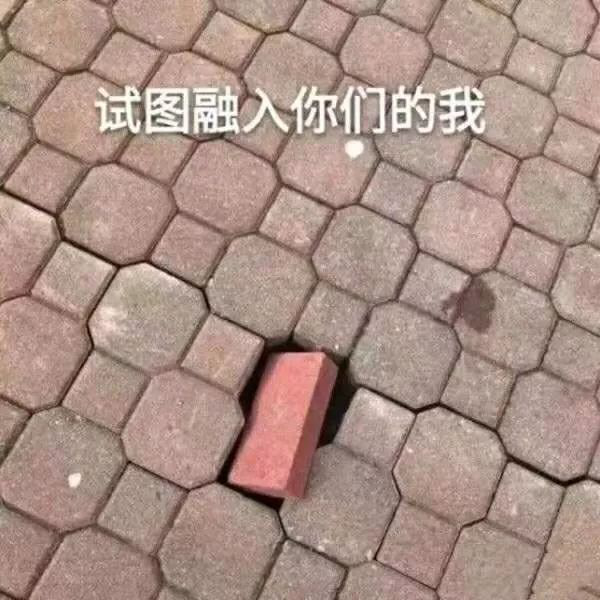 “nss、xswl、pyq、cx、zqsg、走花路……”細數那些被注冊商標的00后黑話