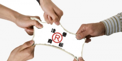 品牌創建中的商標命名需要注意什么？