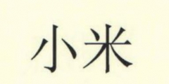 專利的申請(qǐng)流程，專利申請(qǐng)表格的要求