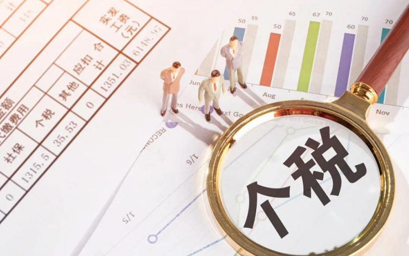個人所得稅網上申報步驟和計算方式(逾期申報個人所得稅會怎么樣)