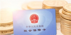 社保轉(zhuǎn)移網(wǎng)上辦理流程(手把手教你如何進行社保轉(zhuǎn)移)